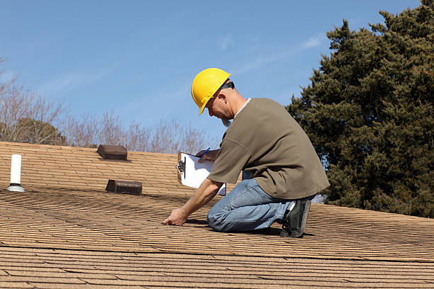 Best Roof Moss and Algae Removal  in Westway, TX